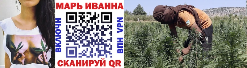 Купить закладку Канабис  Alpha-PVP  ГАШ  АМФЕТАМИН  Cocaine  Меф  Александровское