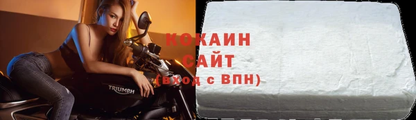 твердый Дмитриев