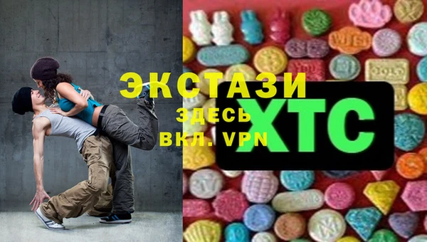 твердый Дмитриев