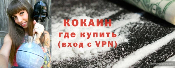 твердый Дмитриев