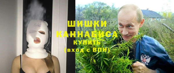 твердый Дмитриев