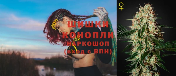 МДПВ Дмитровск