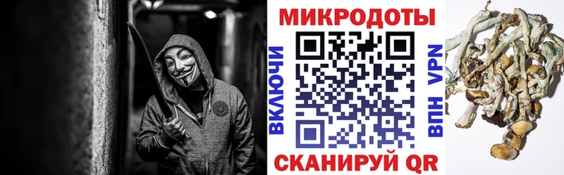Галлюциногенные грибы Cubensis  Купить где  Александровское 